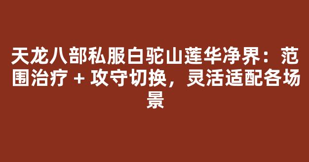 天龙八部私服白驼山莲华净界：范围治疗 + 攻守切换，灵活适配各场景